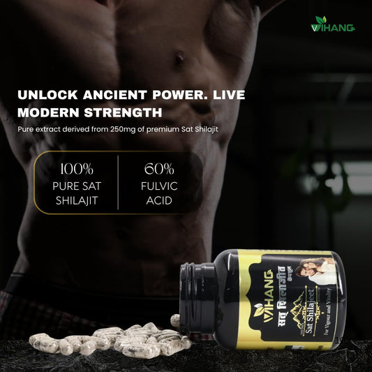 Vihang Himalayan Shilajit Capsules | Energy, Strength & Stamina Boost | 30 Capsule ( pack of 1 )